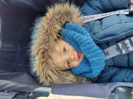 louis